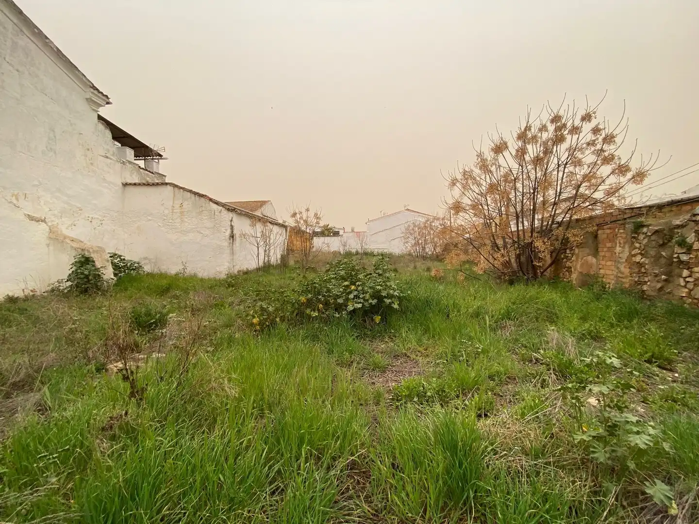 Residential land for sale in Castuera, imagen 5