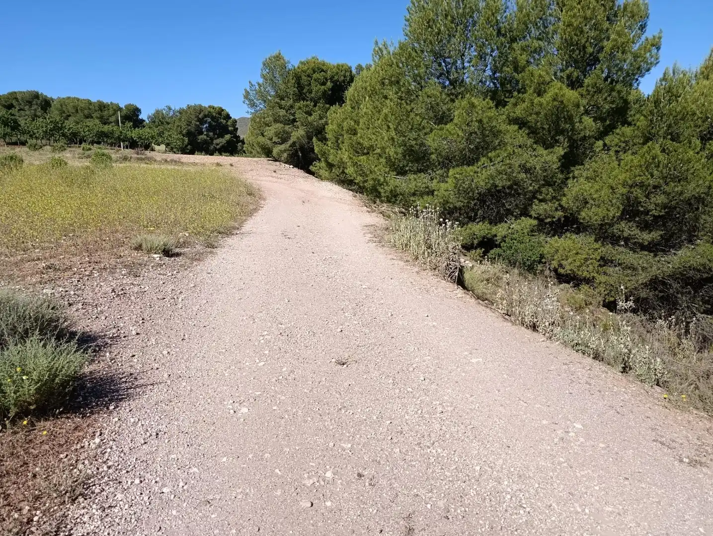 Rural land for sale in Laujar de Andarax, imagen 23