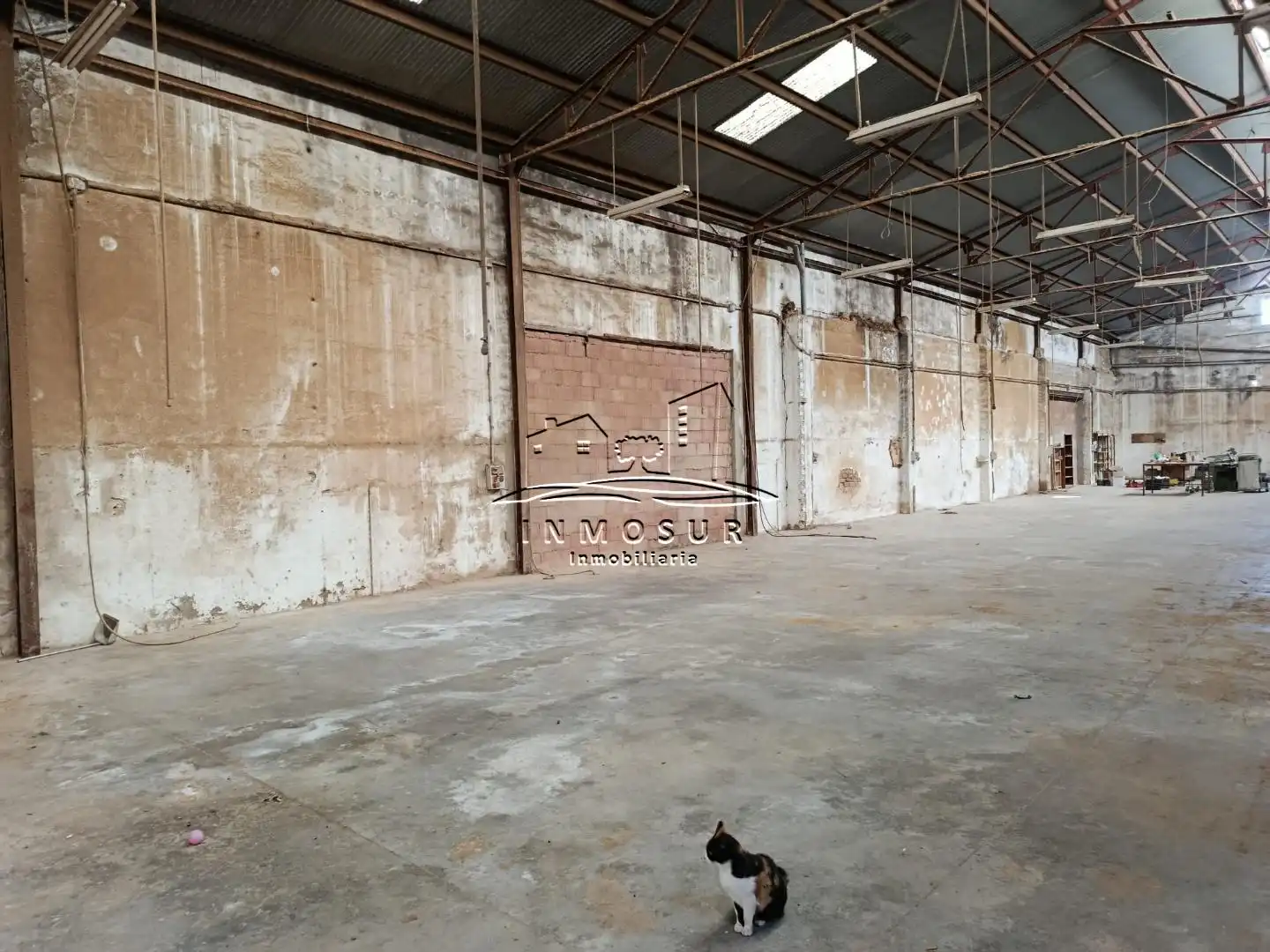Industrial building for sale in San Francisco, imagen 6