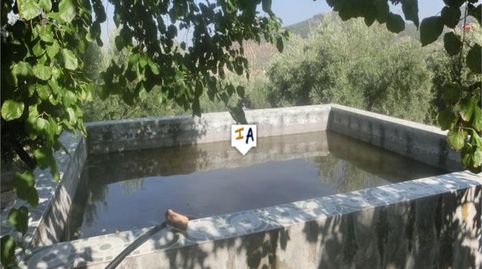 Foto 3 de Finca rústica en venta en Alcaudete, Jaén