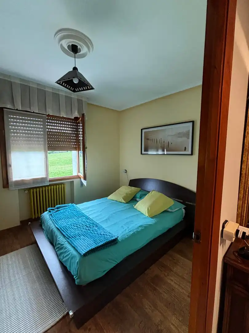 House with garden for sale in Plaza del Ayuntamiento, imagen 48