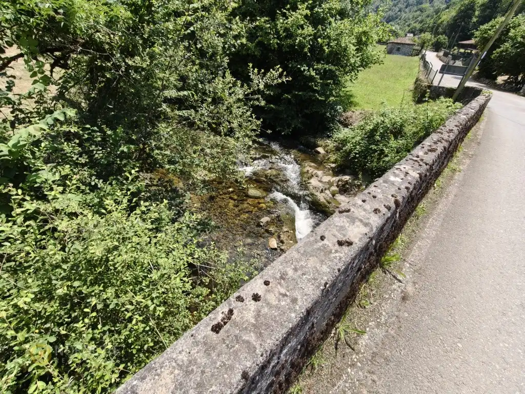 Vista exterior de Casa o chalet en venta en Cangas de Onís