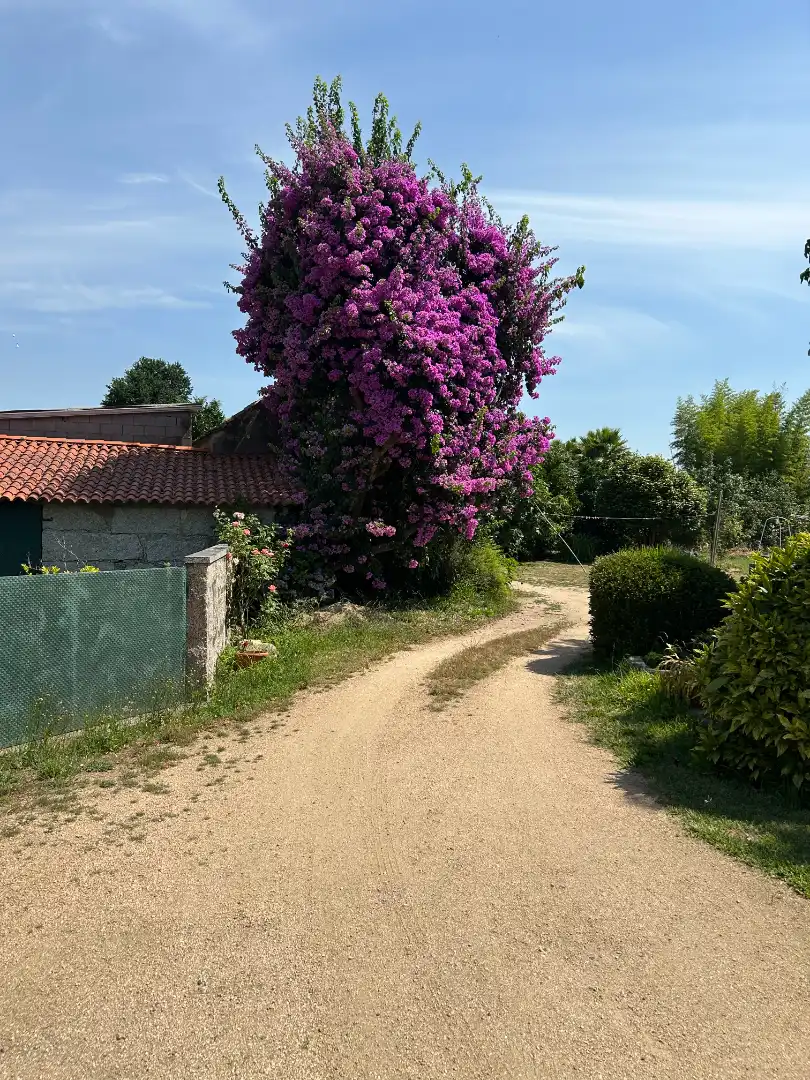 Casa o xalet en venda en Meis amb Jardí privat, Traster i Piscina