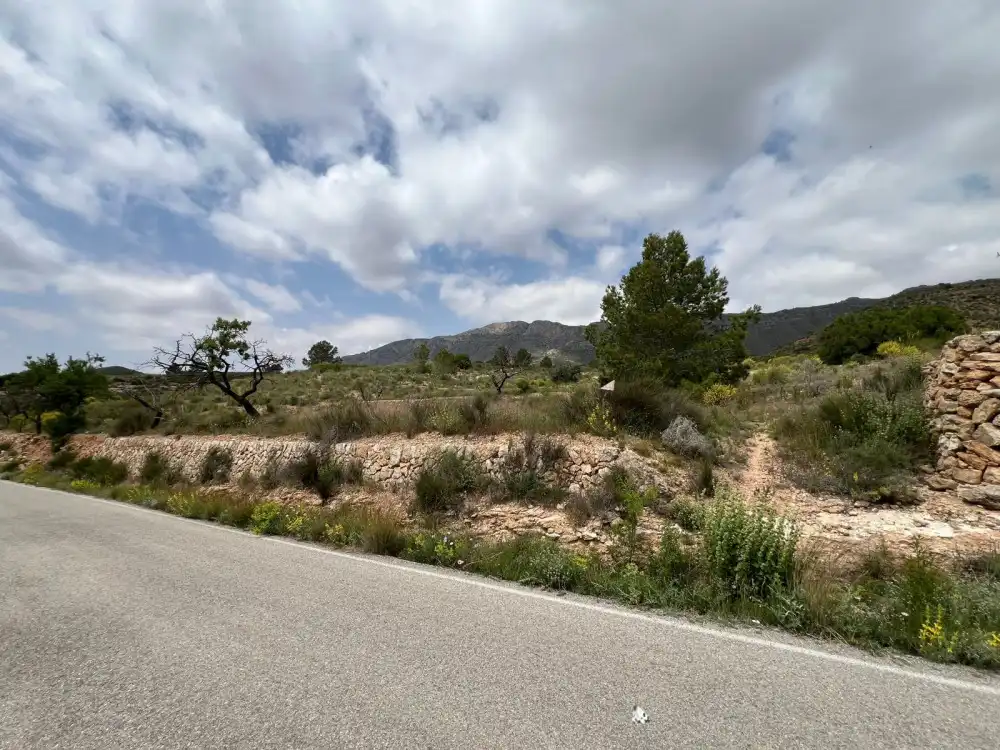 Terreny residencial en venda a Hondón de las Nieves / El Fondó de les Neus, imagen 9
