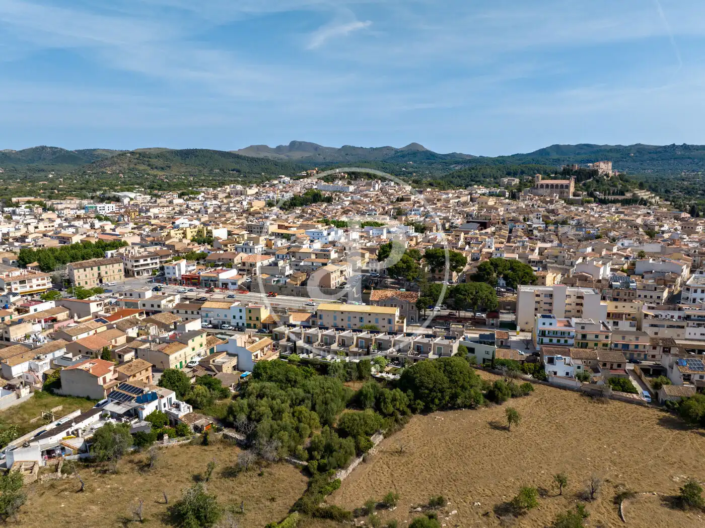 Detached homes for sale in Artà Poble