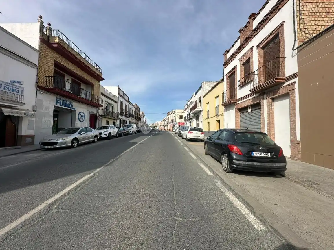 Vista exterior de Casa o xalet en venda en El Viso del Alcor