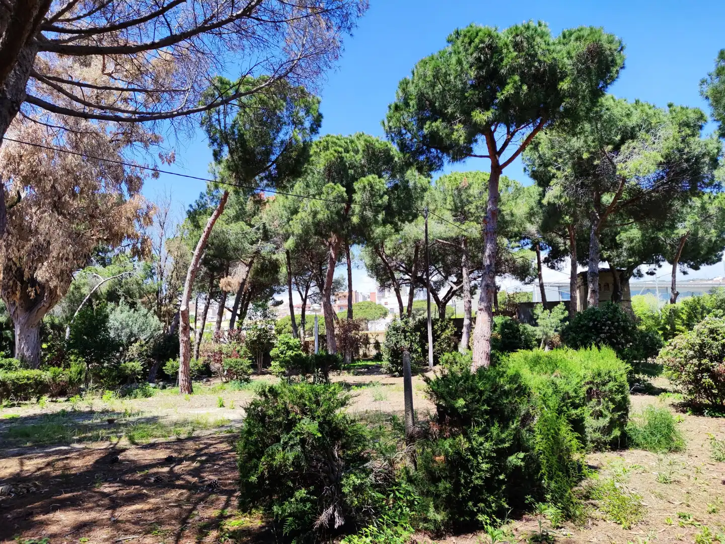 Jardí de Residencial en venda en Mataró