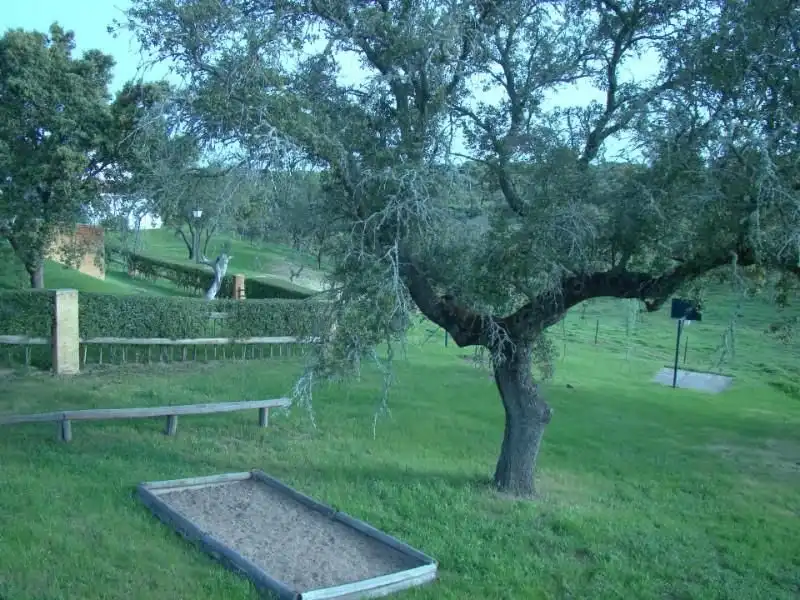 Terreni e lotti in vendita a Alcántara, imagen 15