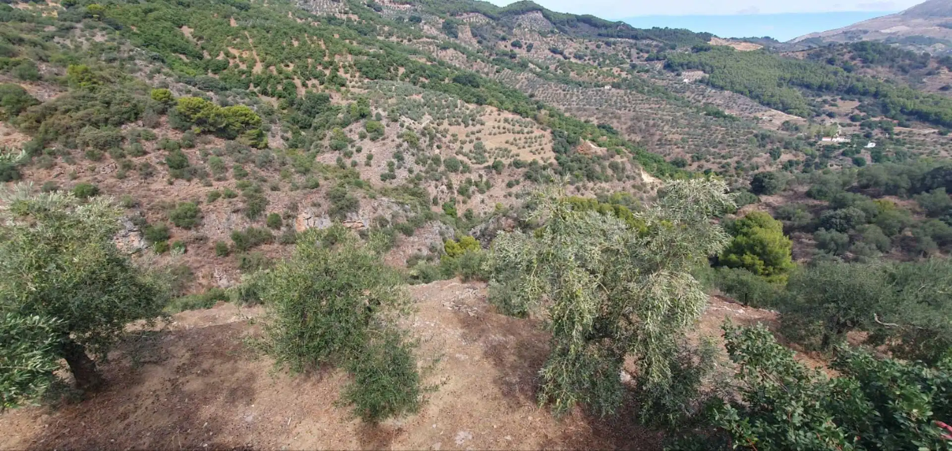 Terreni e lotti in vendita a Yunquera, imagen 15