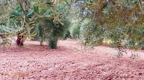 Casa Rural en venta en VélezRubio, 2 dormitorios., immagine 2