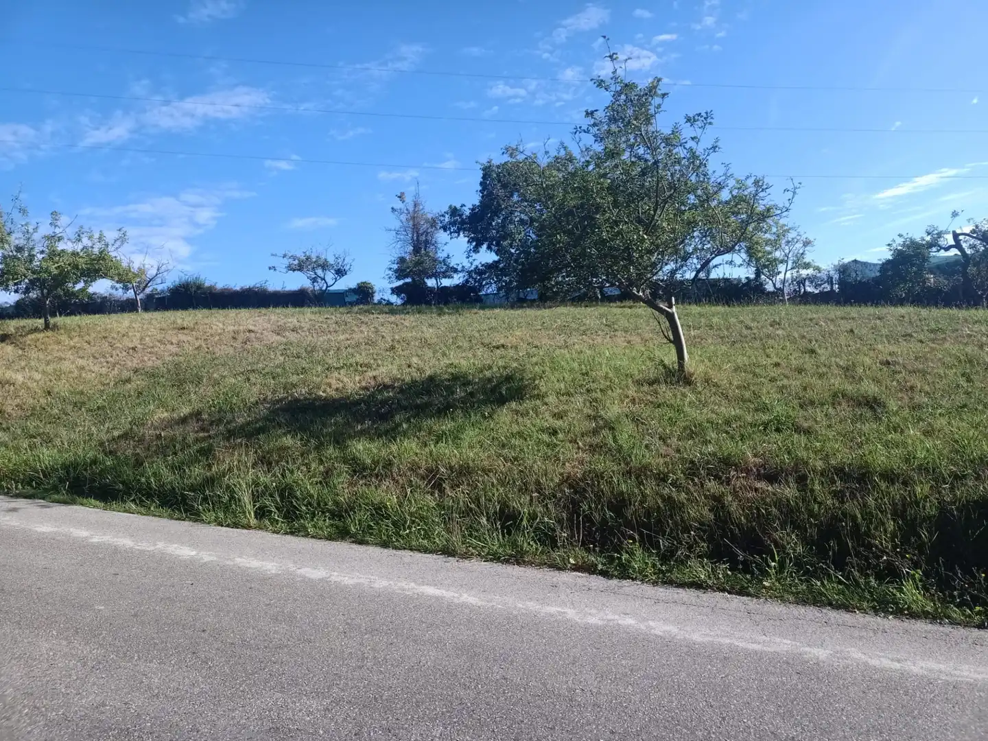 Terrain rustique à vendre à Barrio Cenero Urbano 10A, imagen 4