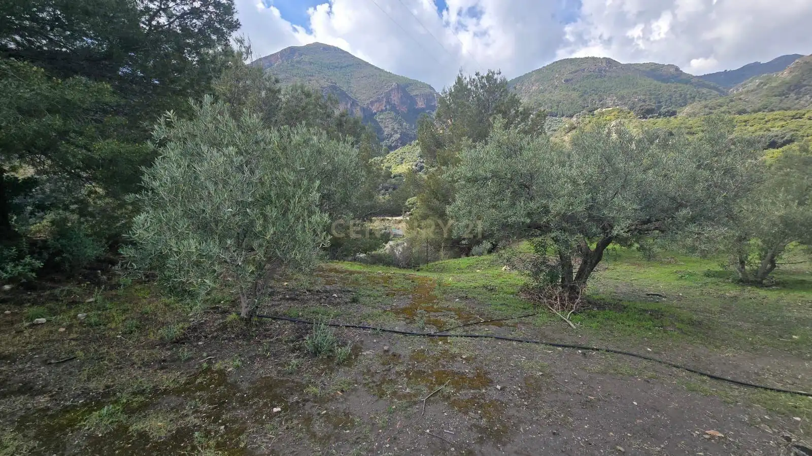 Terreno rustico in vendita a Polígono 11 Parcela 117 EL CERRILLAR. LOS GUAJARES (GRANADA), imagen 8