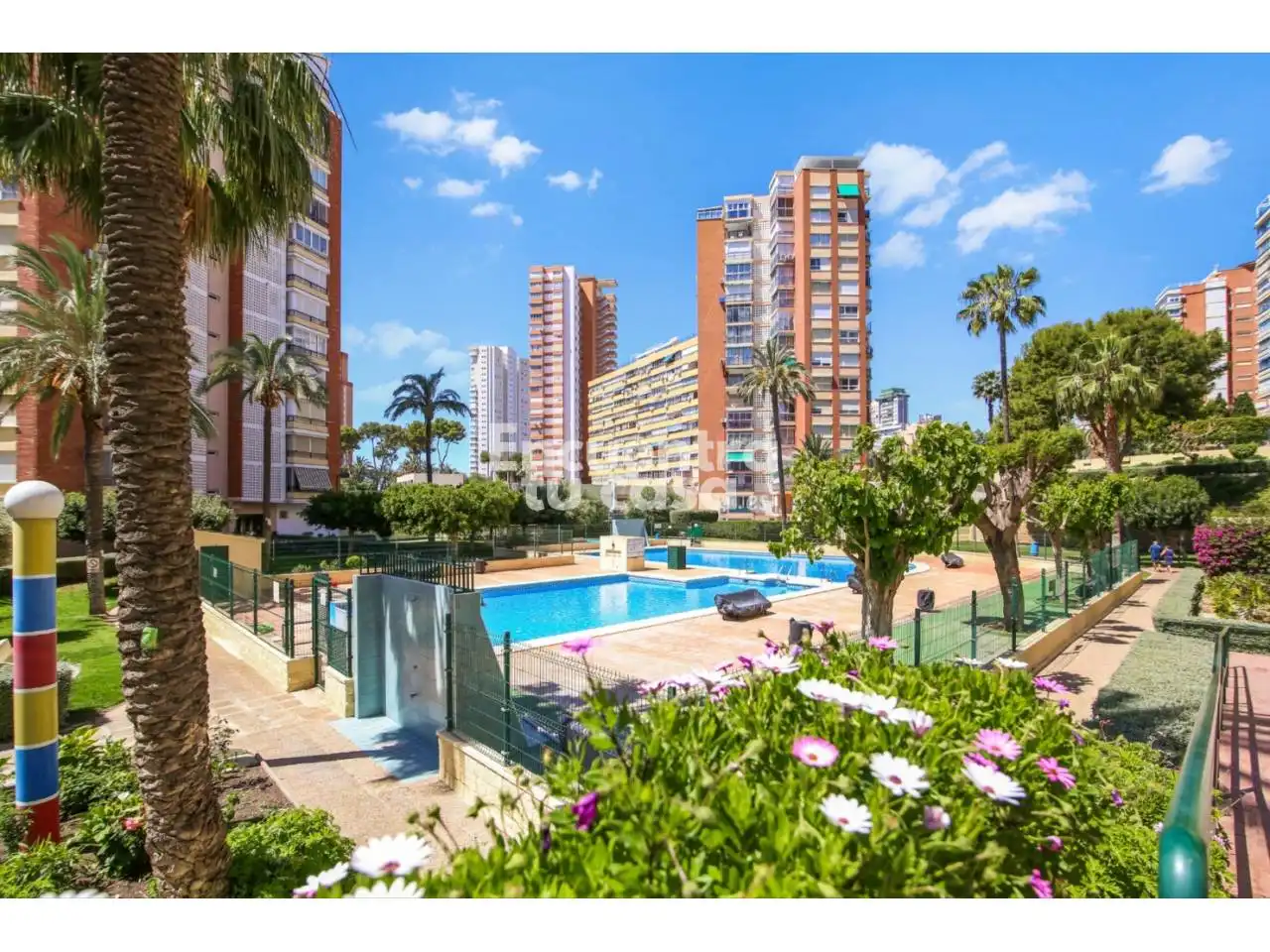 Vista exterior de Pis en venda en Benidorm amb Terrassa, Balcó i Piscina comunitària