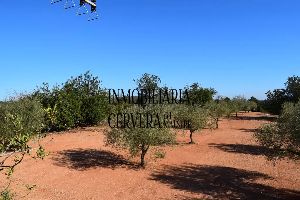 Finca rústica en venda en Cervera del Maestre amb Terrassa