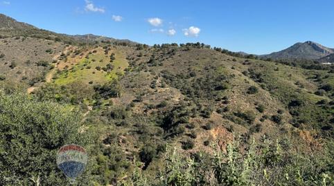 Foto 4 de Residencial en venda a Calle Peinado Grande, Limonar, Málaga Capital