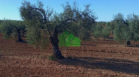 Photo 4 of Residential for sale in Corte de Peleas, Badajoz