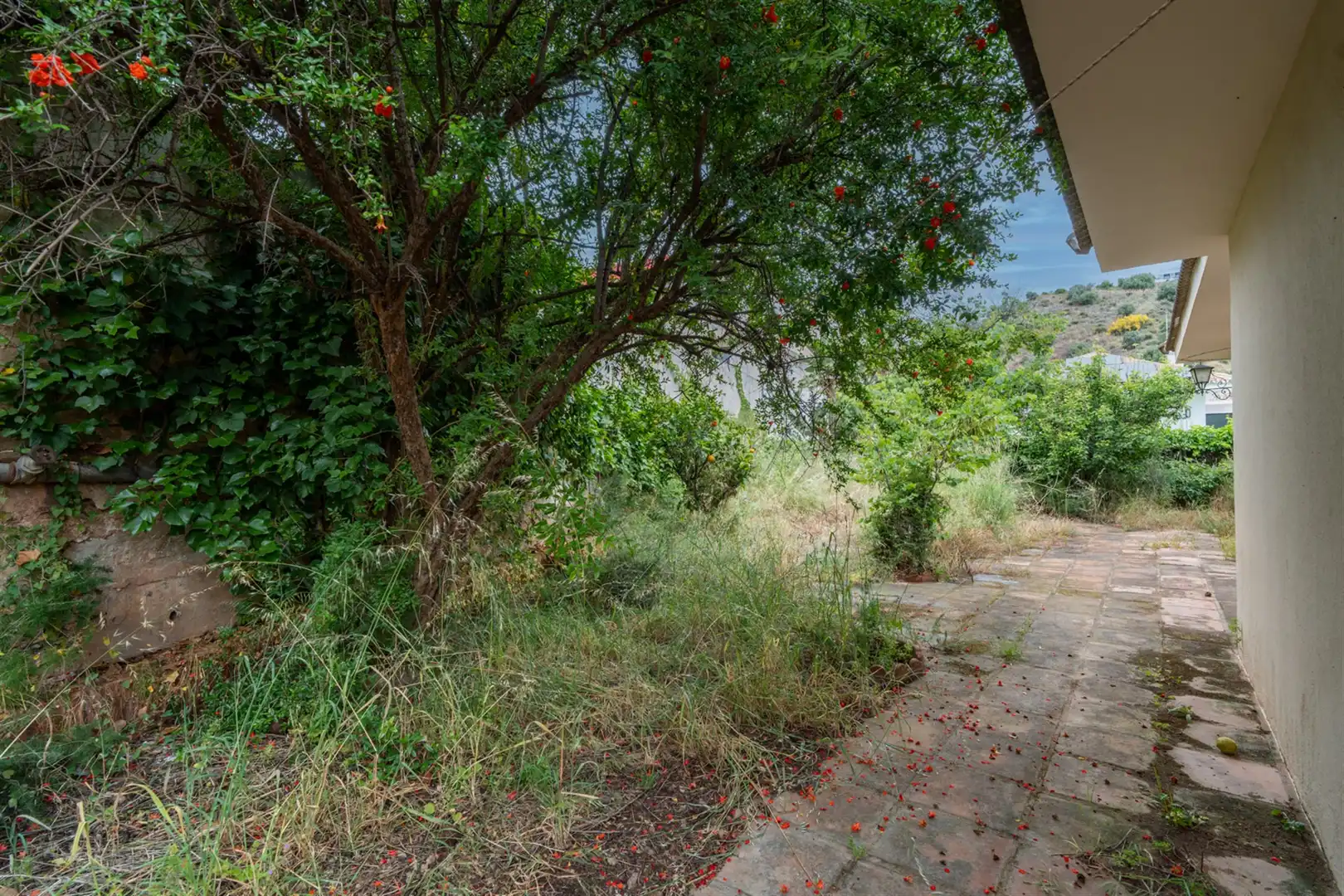 Casa o xalet en venda a Mayorazgo