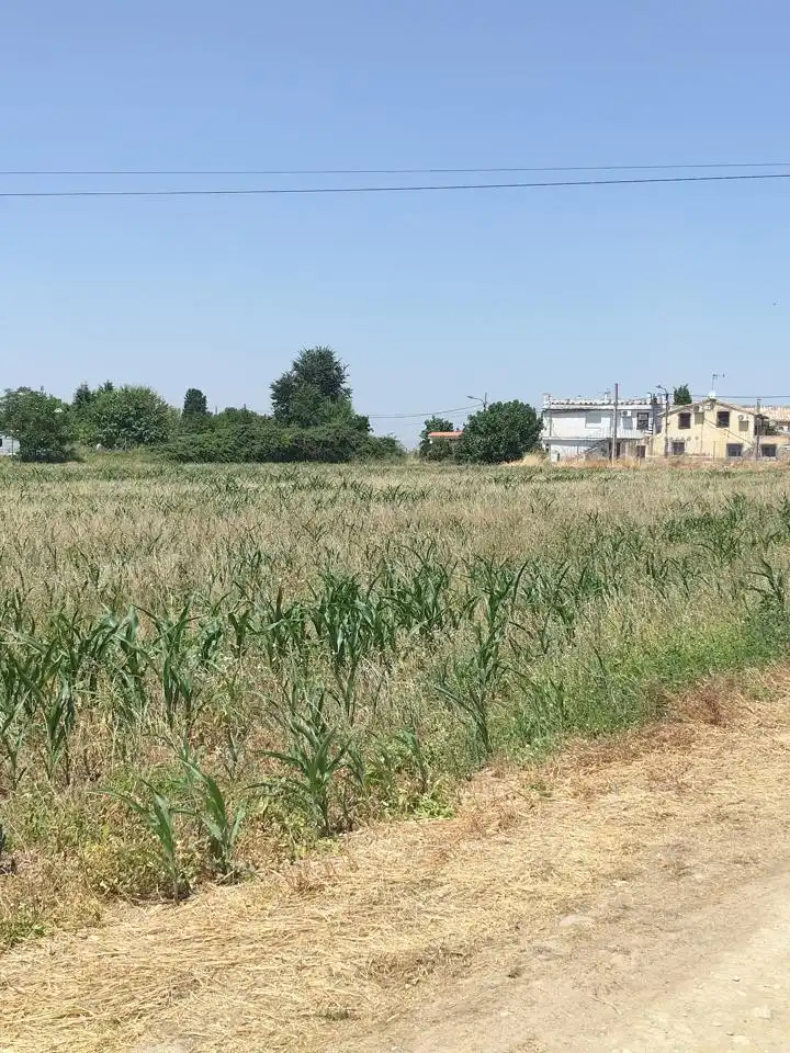 Terreni e lotti in vendita a Camino de Zamoray, imagen 14