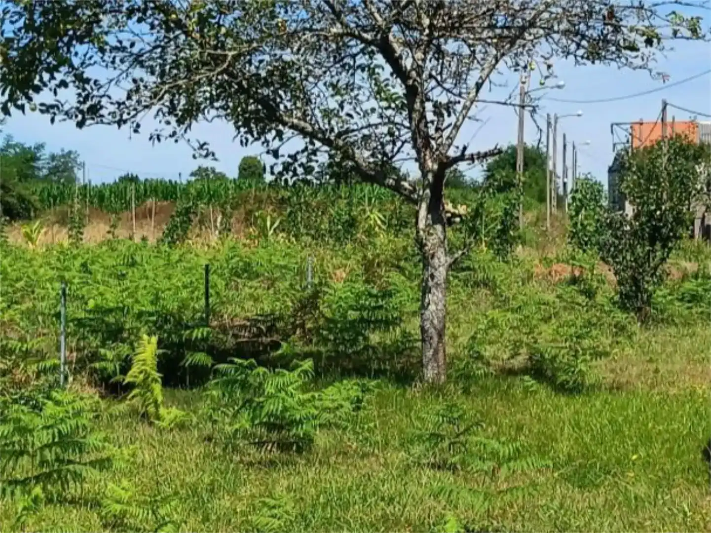 Terreno en venta en Mugardos, A Coruña