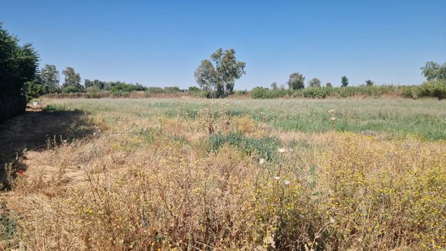 Terreno en Alquiler en La Coronada