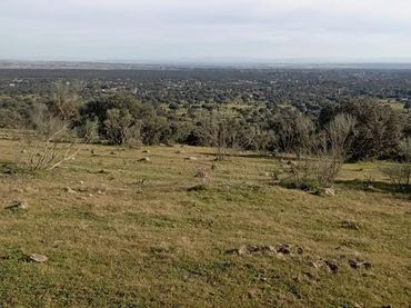 Terreni e lotti in vendita a Los Cigarrales - La Bastida