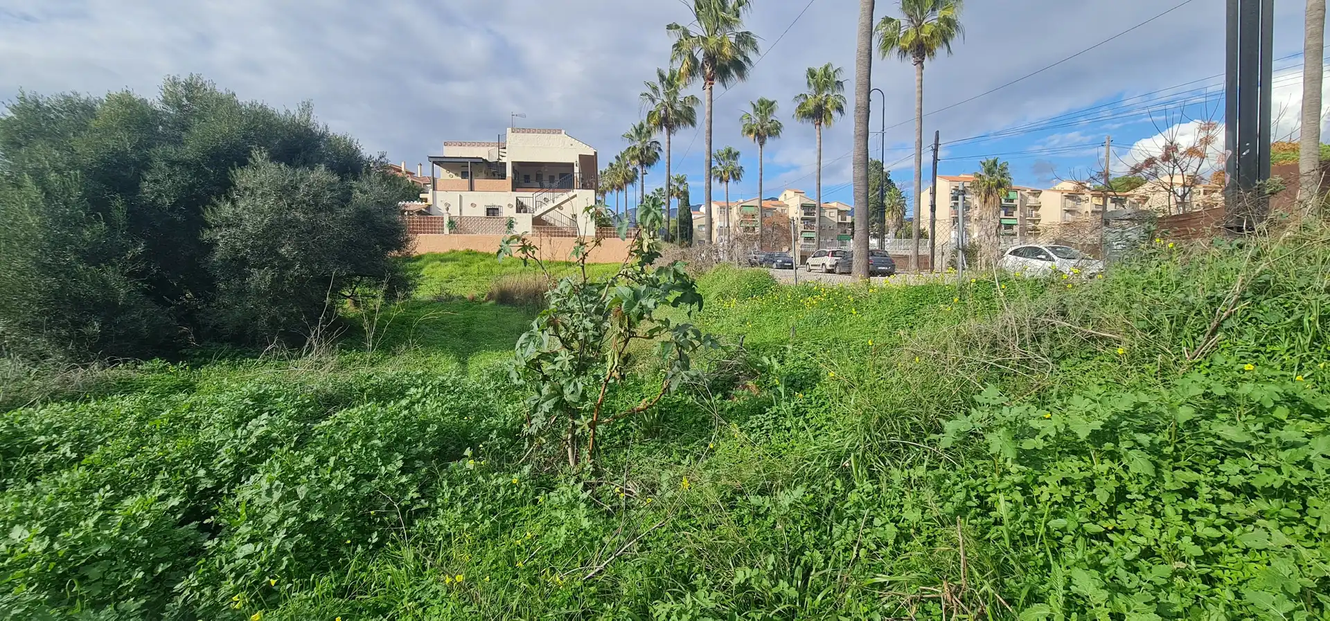 Terreno residencial en venta en Campo de Mijas, imagen 2