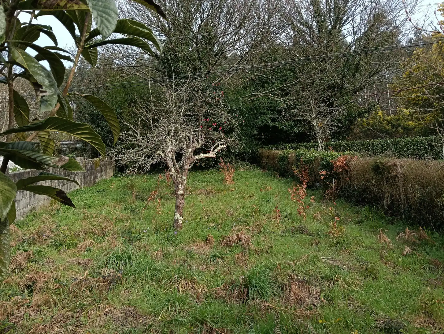 Adossat amb jardí en venda a Foro 55, imagen 45