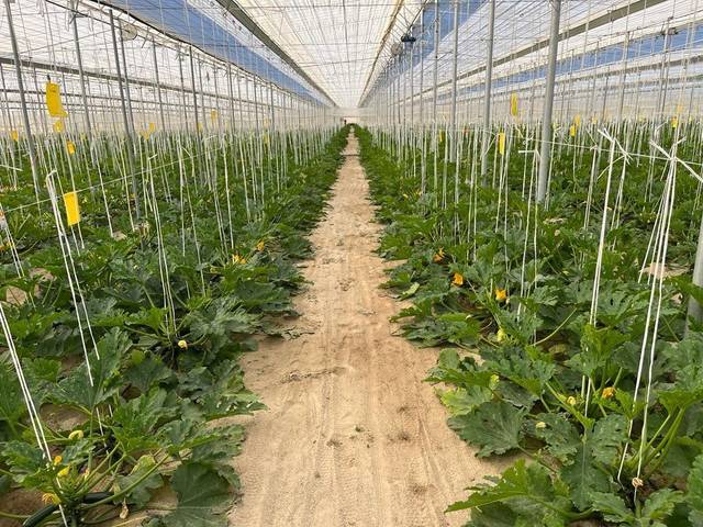 Terreno residencial en Venta en Pozo de los Frailes - Presillas - Albaricoques