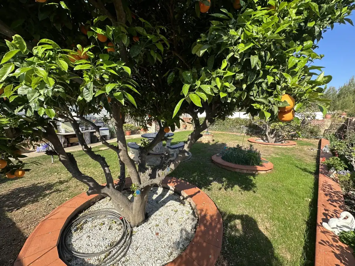 Xalet amb piscina en venda a Algar de Palància, imagen 43