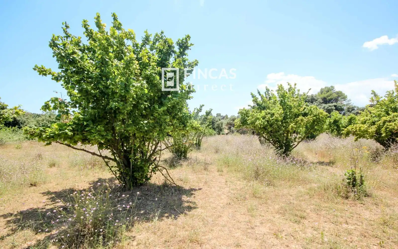 Country homes for sale in Cretas  with Air Conditioner