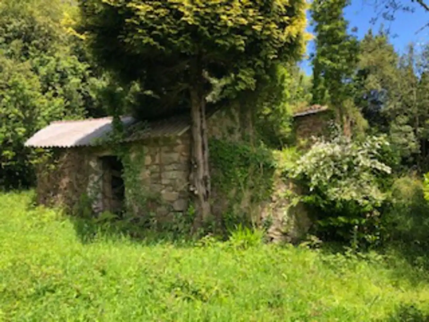 Country homes for sale in Ortigueira  with Private garden, Terrace and Storage room