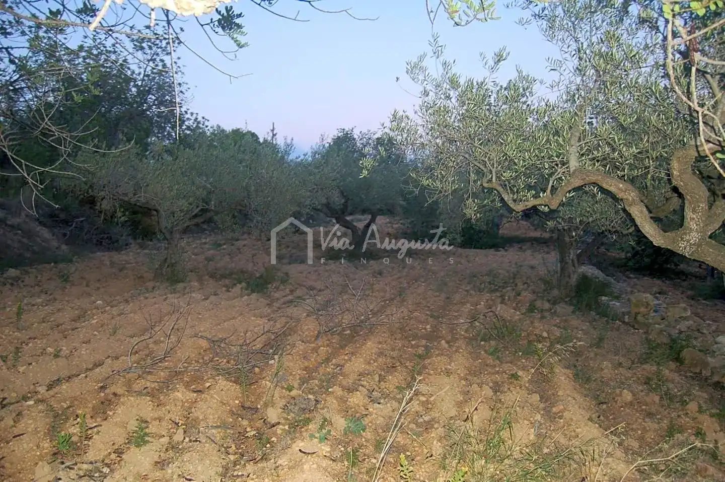 Terreno rustico in vendita a Suis, imagen 11