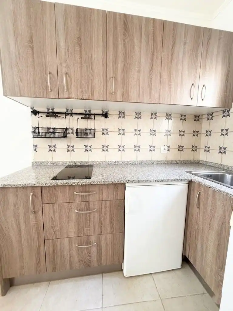 Kitchen of Apartments for sale in Málaga  with Terrace, Furnished and Balcony