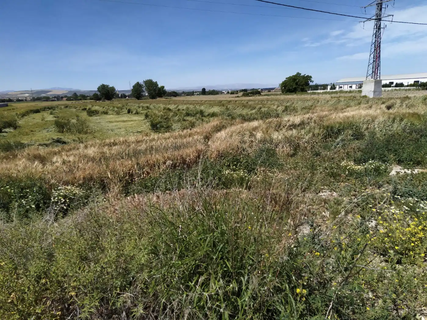 Residencial en venta en Granada