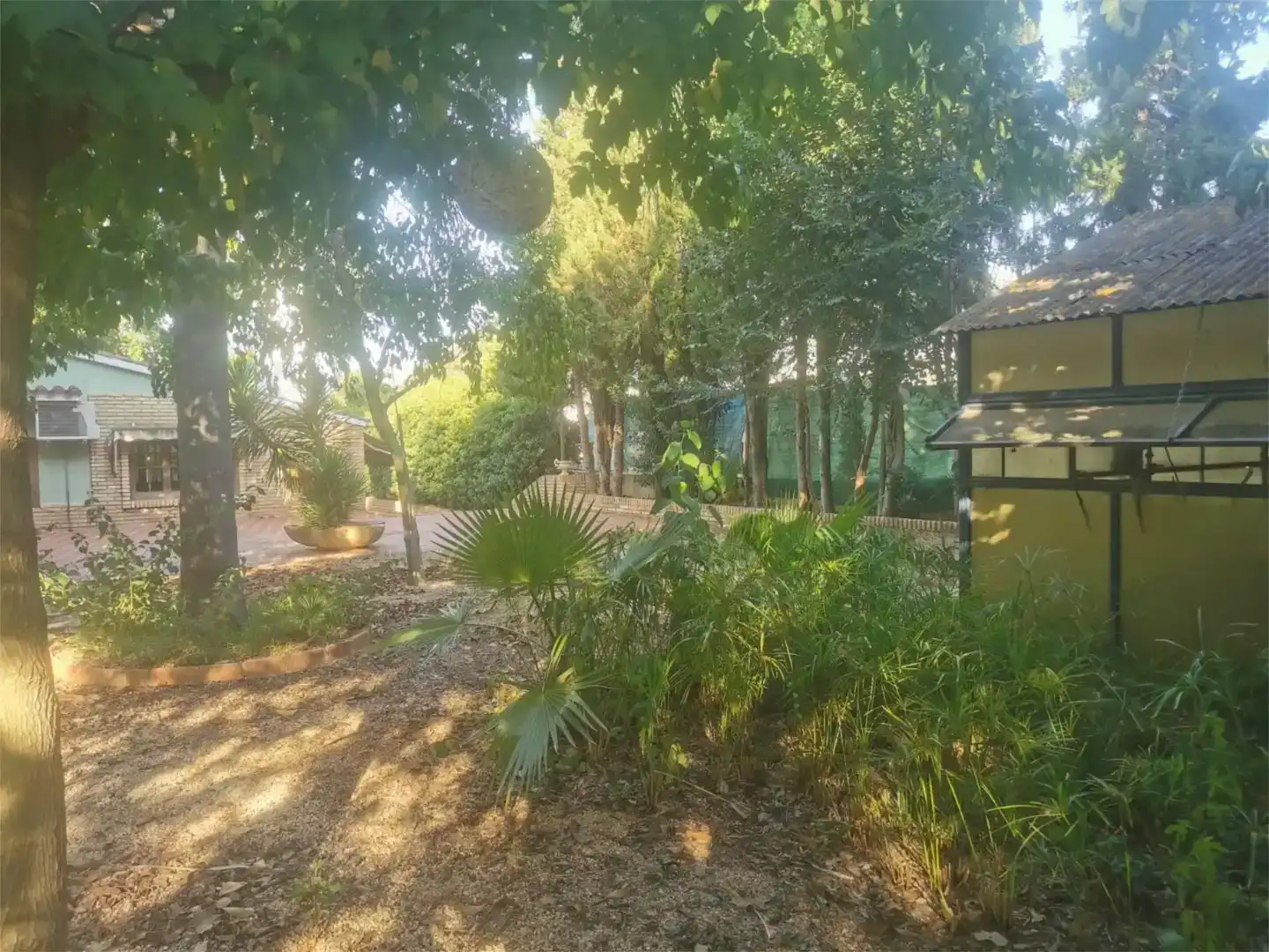Jardí de Casa o xalet en venda en Canals amb Aire condicionat, Jardí privat i Parquet