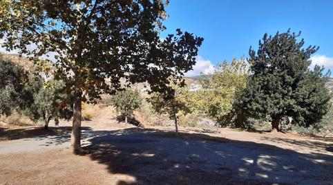 Foto 5 de Finca rústica en venda a San Matías - Realejo,  Granada Capital