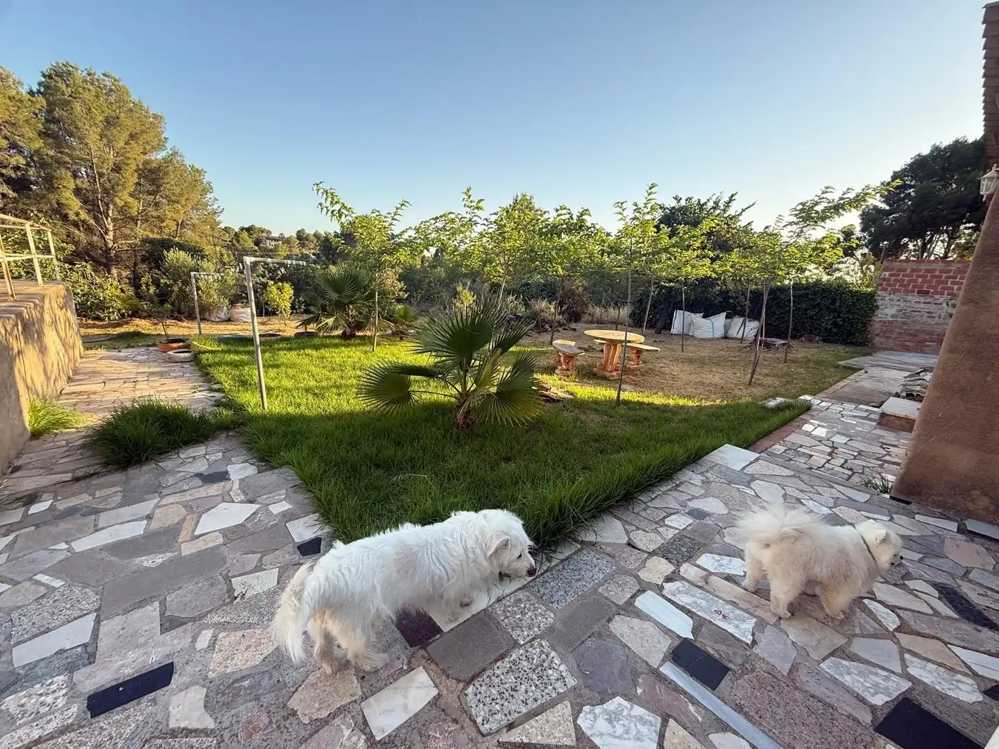 Casa amb piscina en venda a Sant Joan de Moró, imagen 29