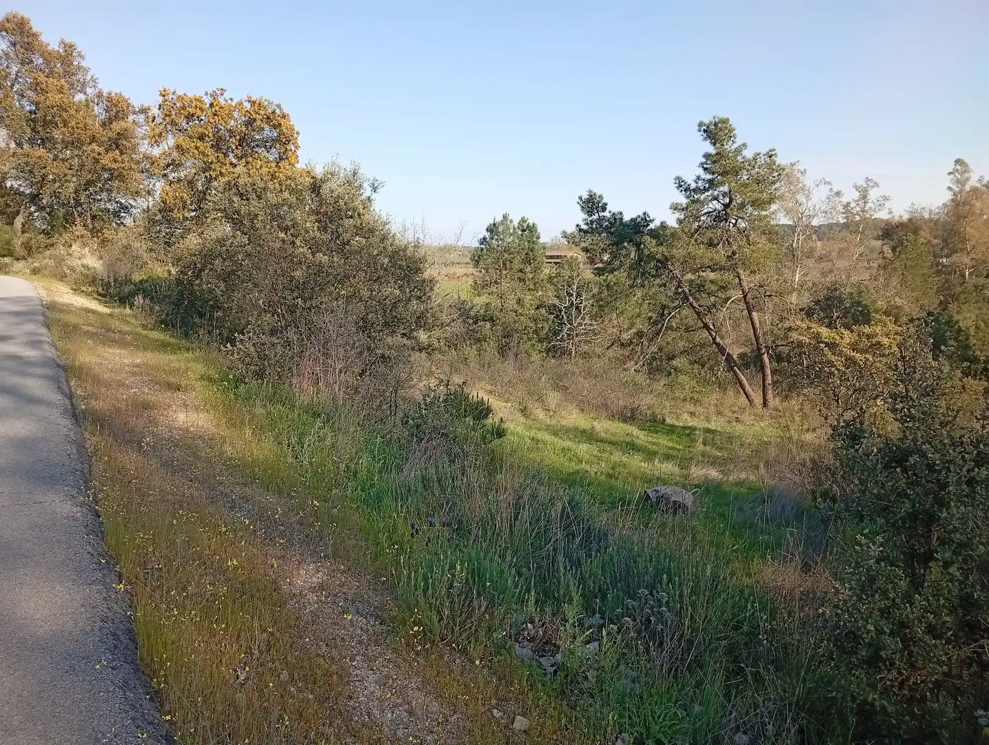 Terreni e lotti in vendita a Villanueva de la Vera, imagen 15