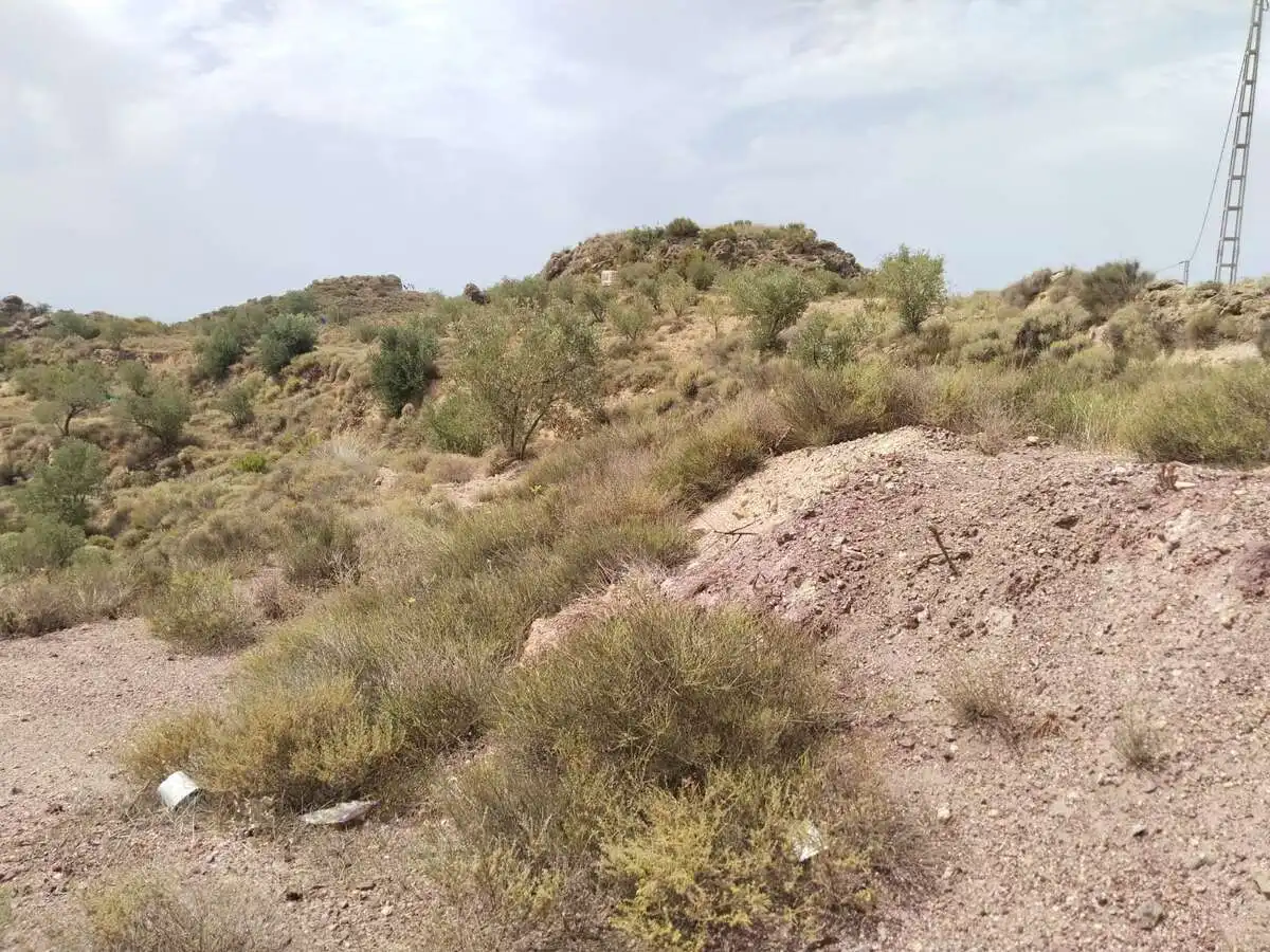 Terreno rustico in vendita a Felix, imagen 4