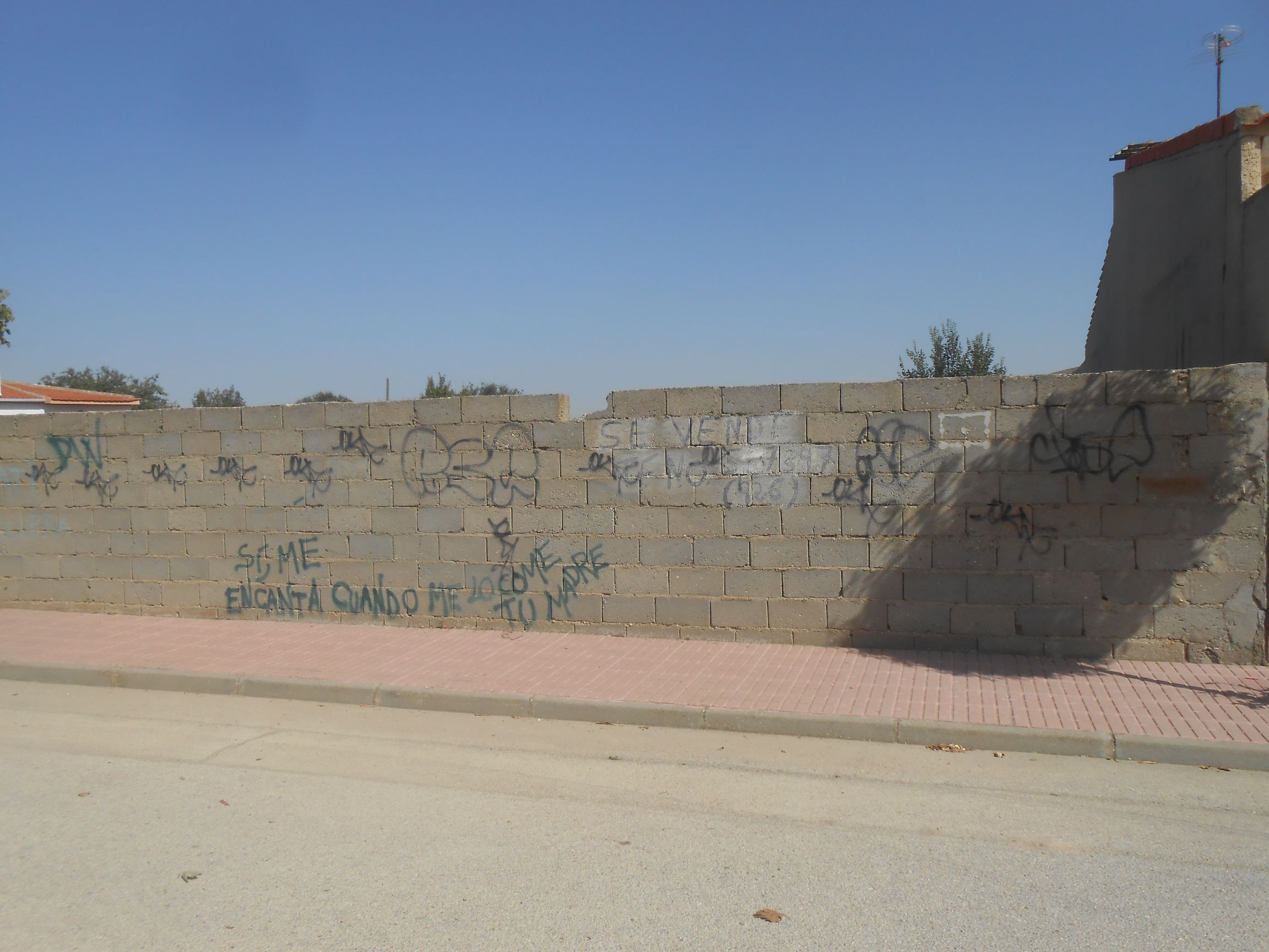 Exterior view of Residential for sale in Pedro Muñoz
