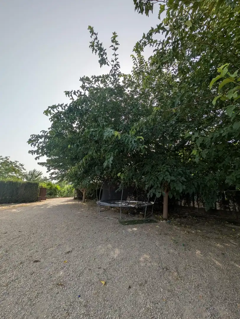Jardí de Residencial en venda en Murcia
