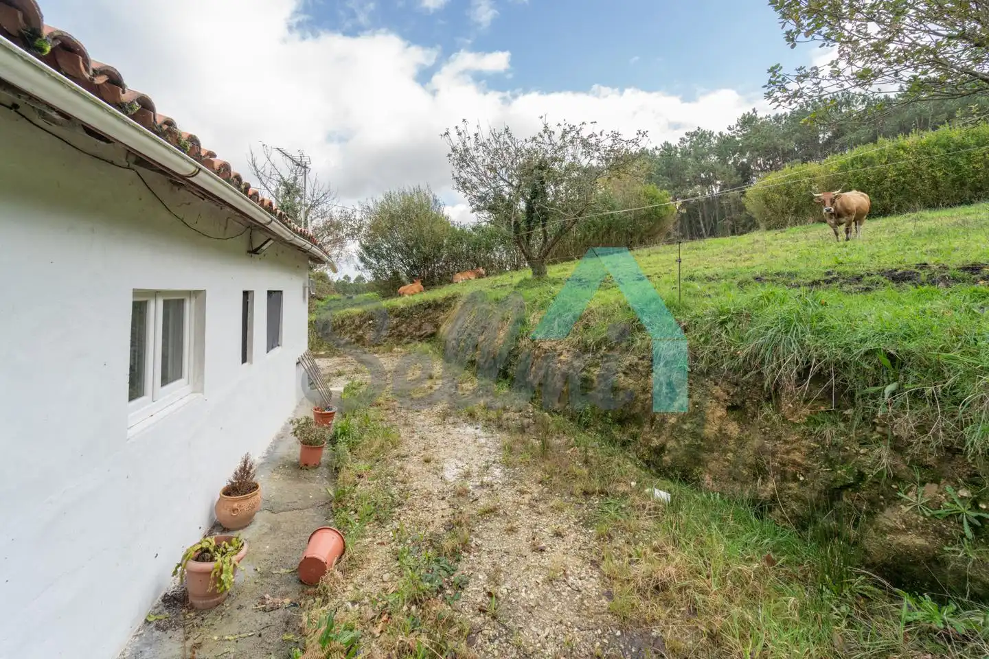 Vista exterior de Casa o xalet en venda en Cudillero amb Jardí privat i Traster