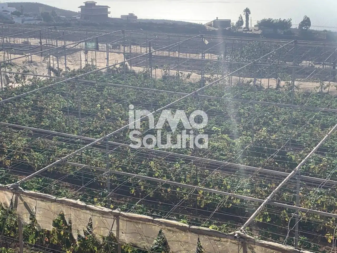 Terreno rustico in vendita a El Capitán, imagen 5