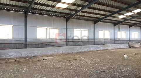 Foto 3 de Finca rústica en venta en Reyes Católicos - Paseo San Antonio, Cuenca Capital