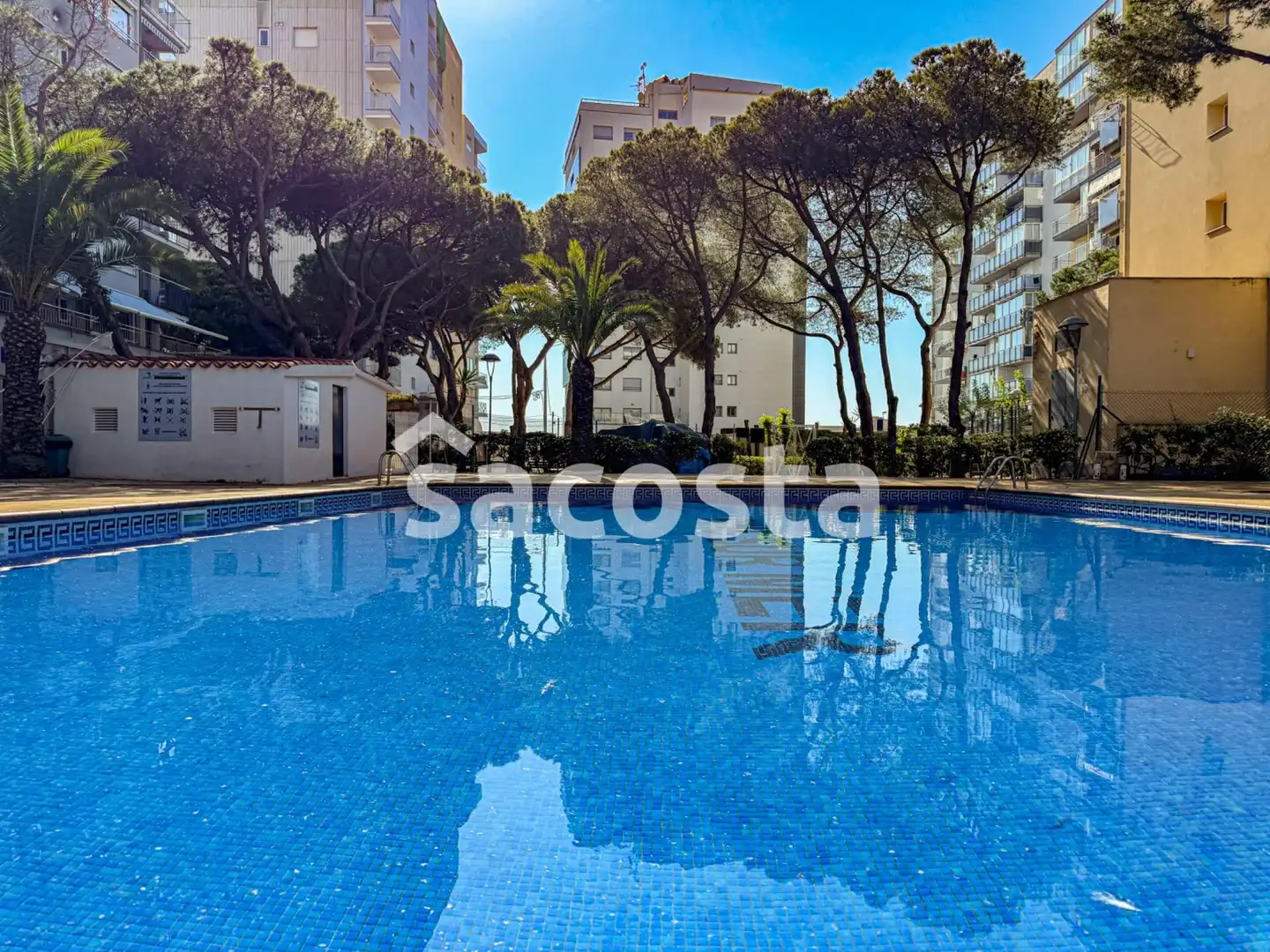 Estudio en venta en Passeig d'Abanell, Els Pins