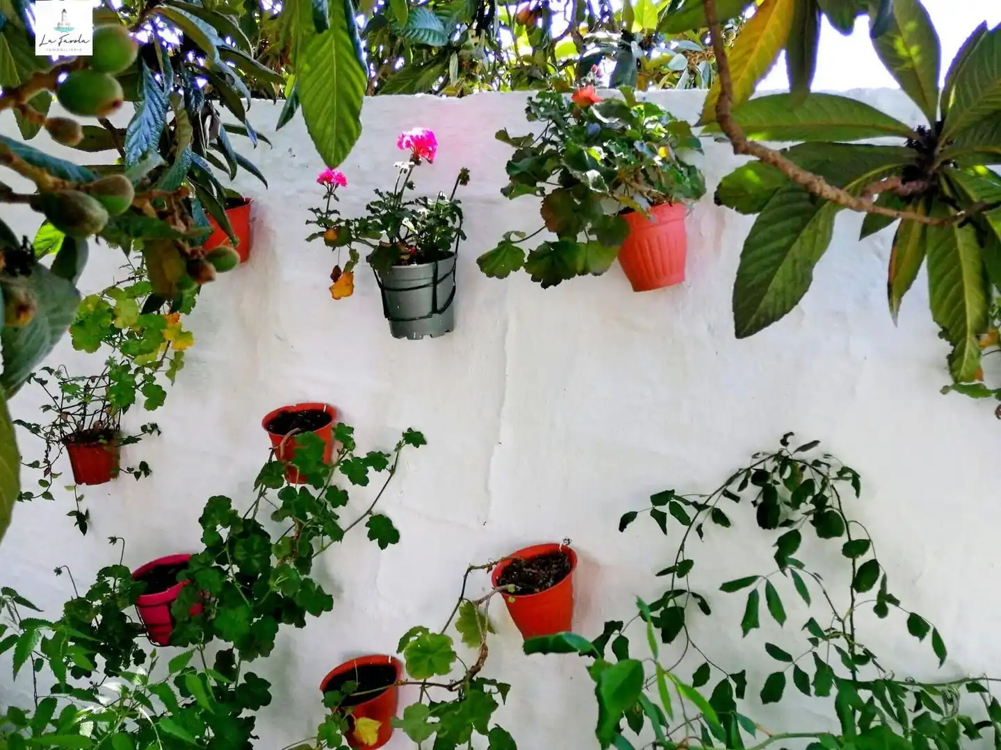 Garden of Houses for sale in Archidona  with Private garden, Terrace and Balcony