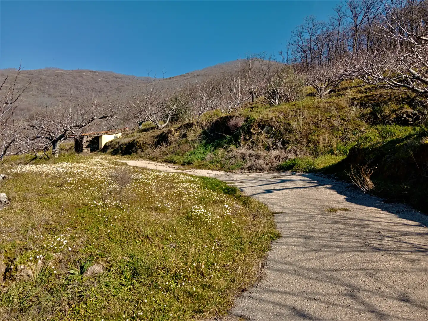 Terreni e lotti in vendita a Barrado, imagen 4