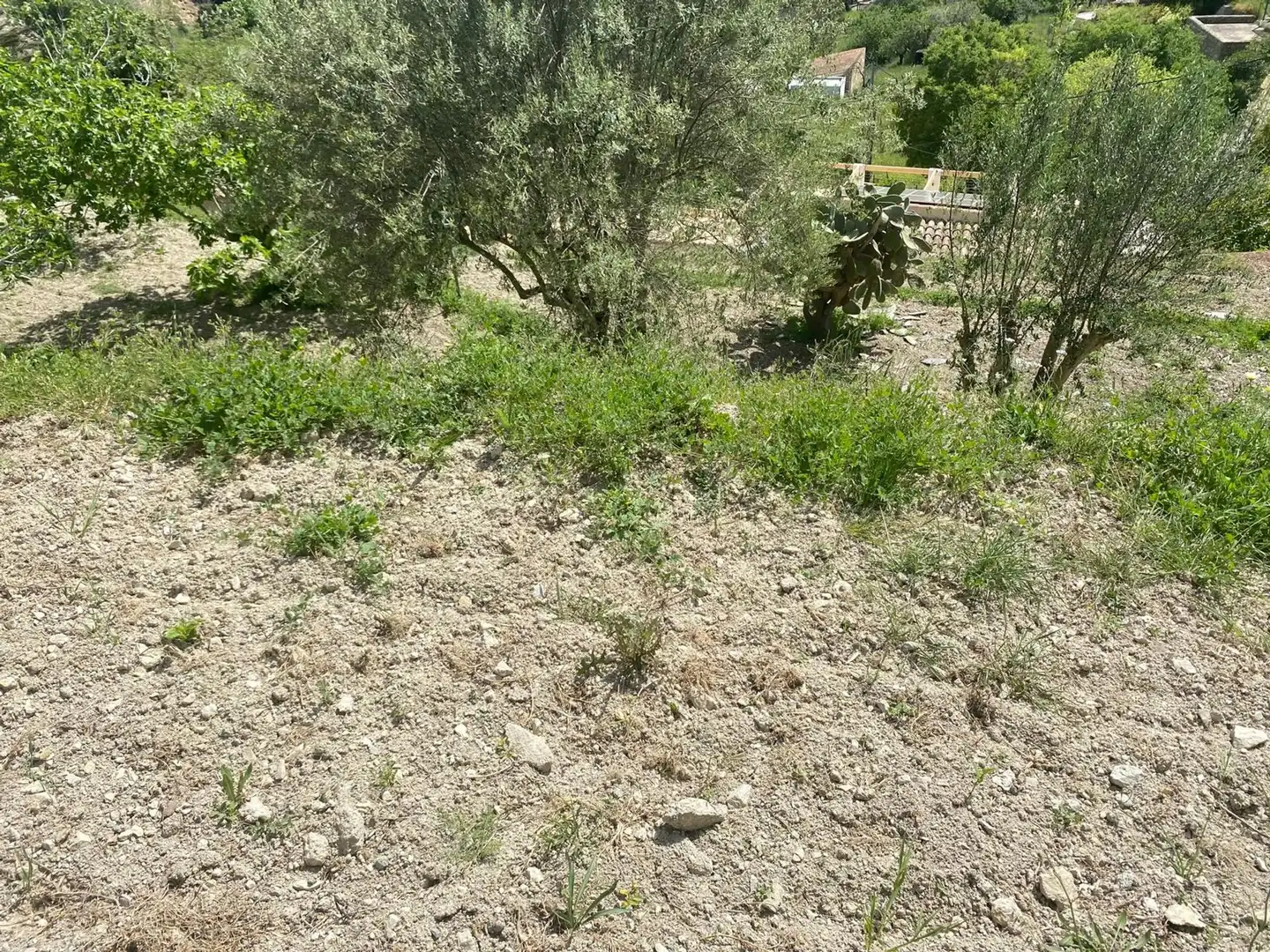Wohnbaugrundstück zum Verkauf in Puigpunyent, imagen 19