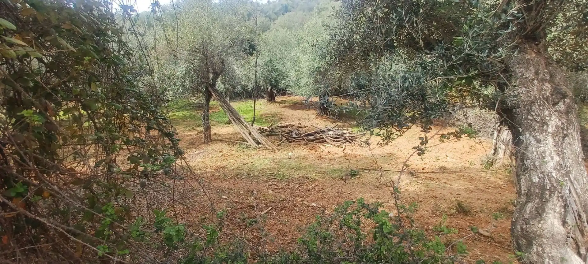 Terreni e lotti in vendita a Constantina, imagen 41