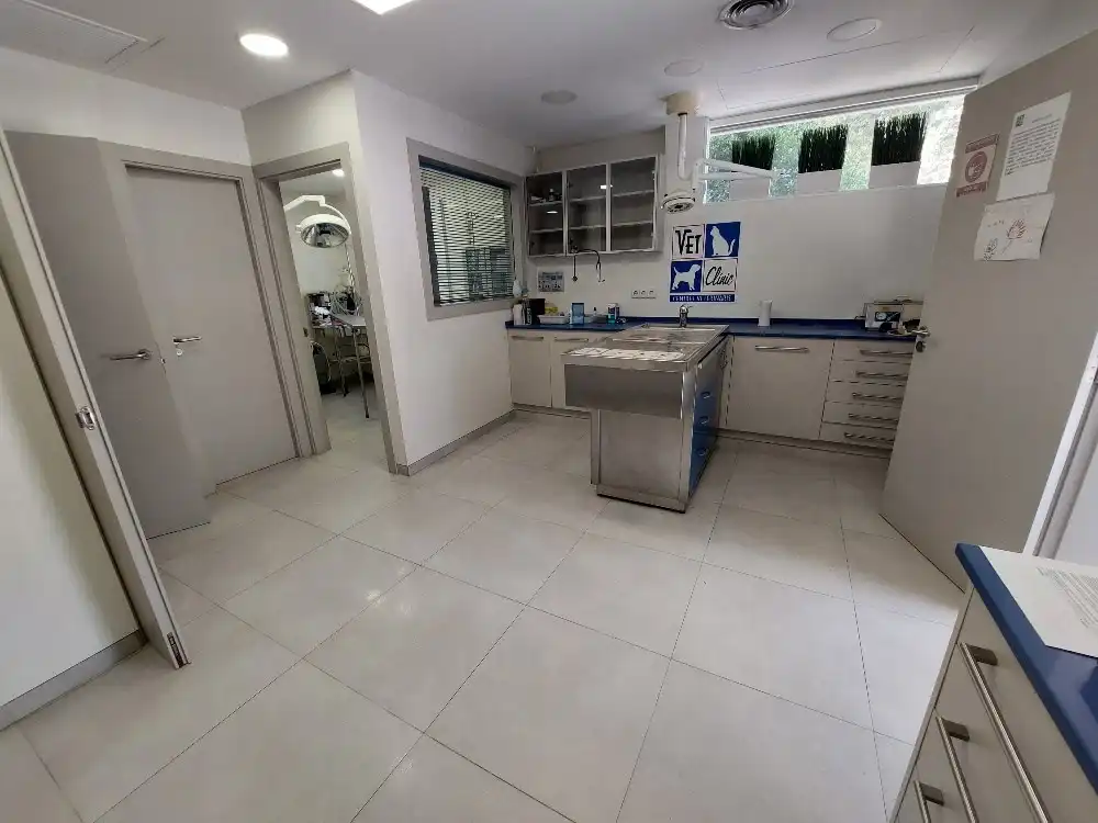 Local comercial en venda a Les Torres, imagen 5